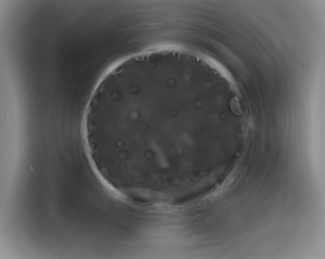 X0000114581055200910191519