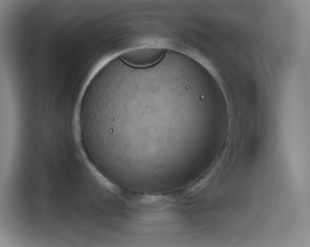 X0000114581056200910191519