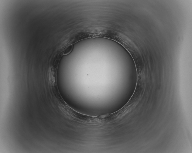 X0000114581058200910191519