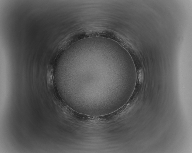 X0000114581059200910191519