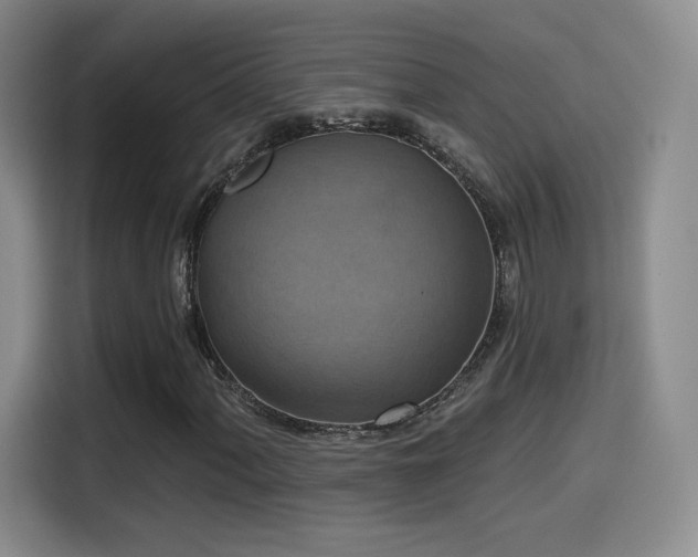 X0000114581060200910191519