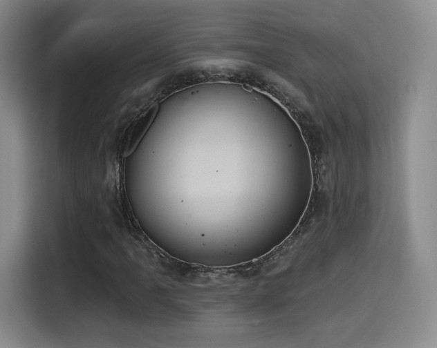 X0000114581061200910191519