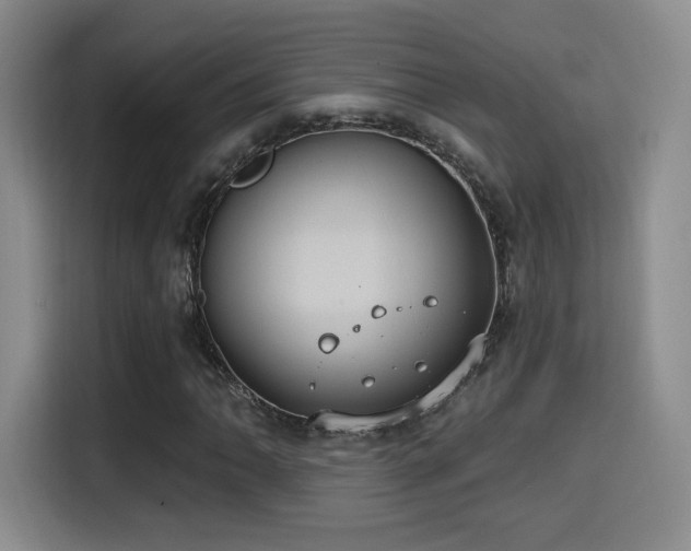 X0000114581062200910191519