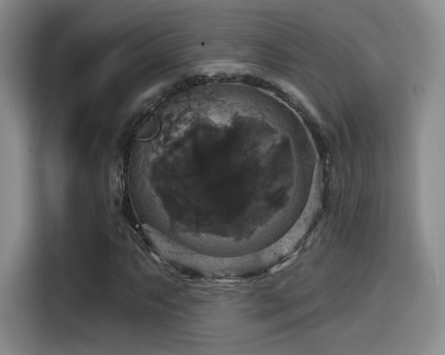 X0000114581063200910191519