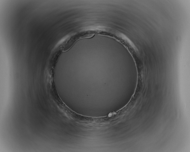 X0000114581064200910191519