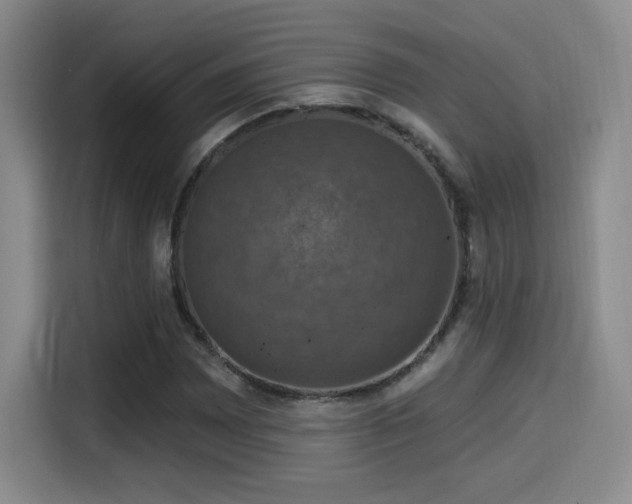 X0000114581065200910191519