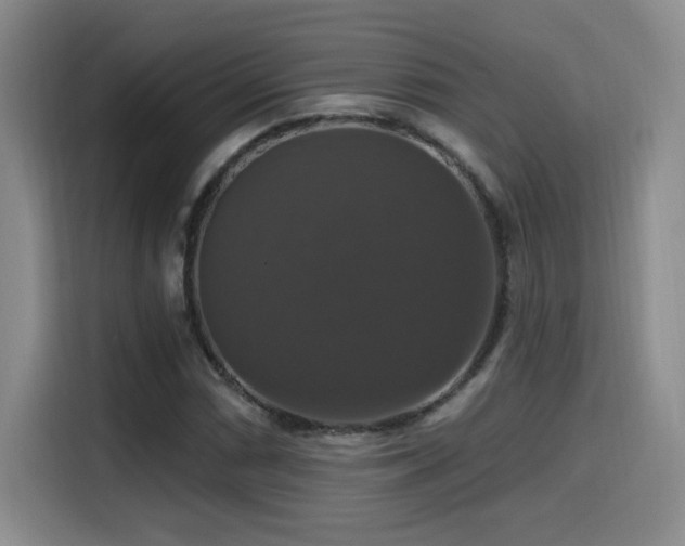 X0000114581066200910191519