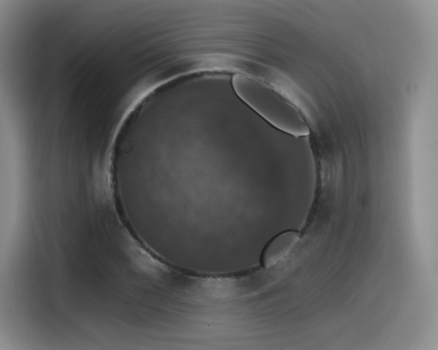 X0000114581068200910191518