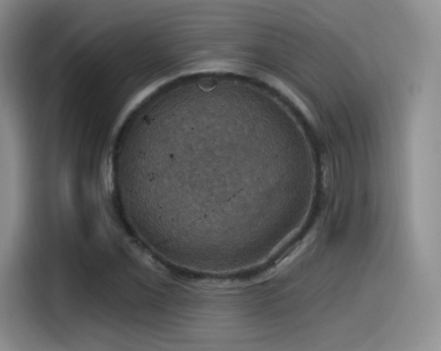 X0000114581069200910191518