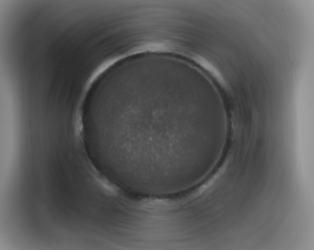 X0000114581070200910191518