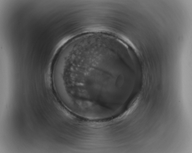 X0000114581071200910191518