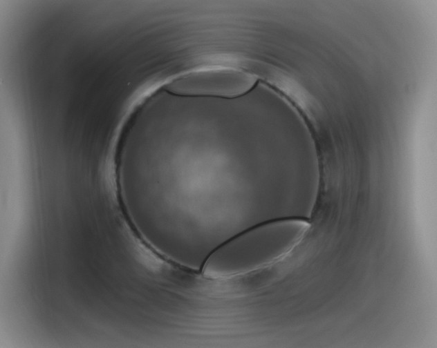 X0000114581072200910191518