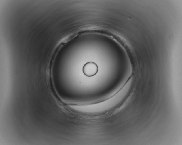 X0000114581073200910191518