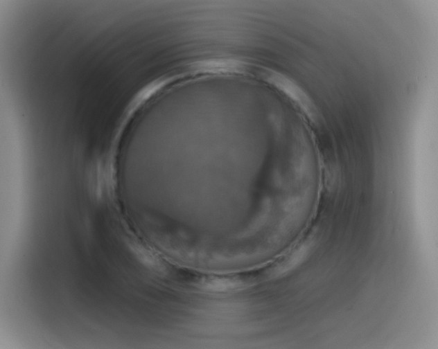 X0000114581074200910191518