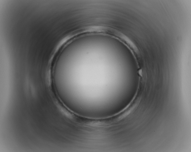 X0000114581075200910191518