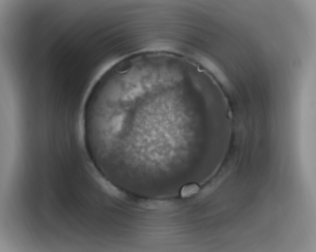 X0000114581076200910191518