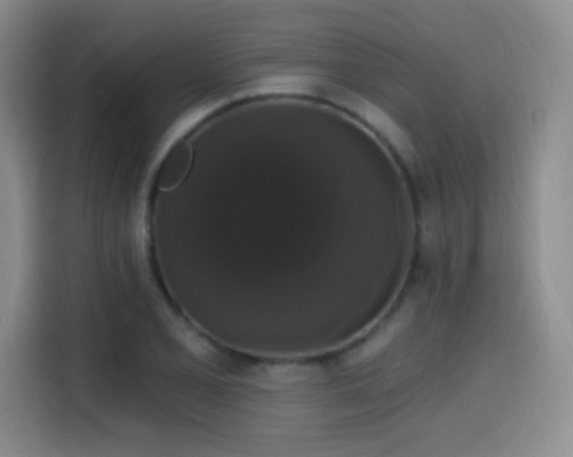 X0000114581077200910191518