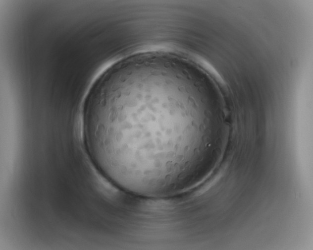 X0000114581079200910191518