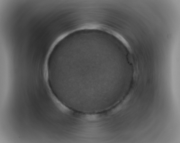 X0000114581080200910191518