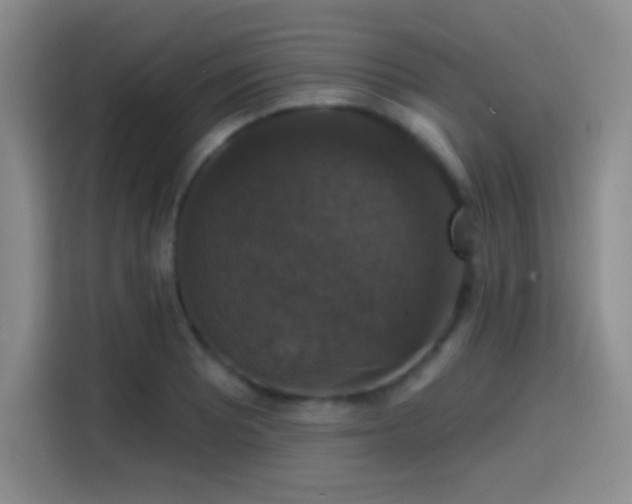 X0000114581081200910191518