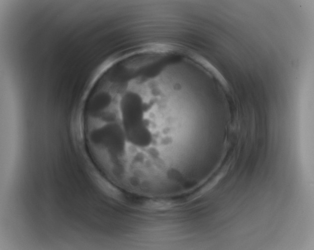 X0000114581083200910191518