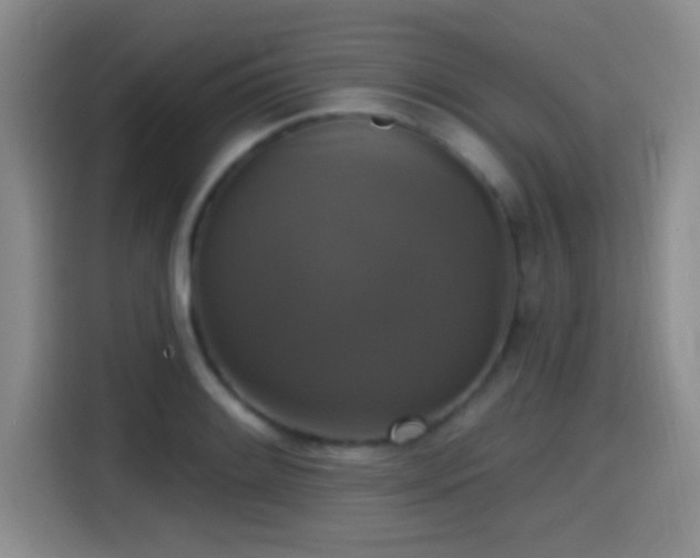 X0000114581084200910191518