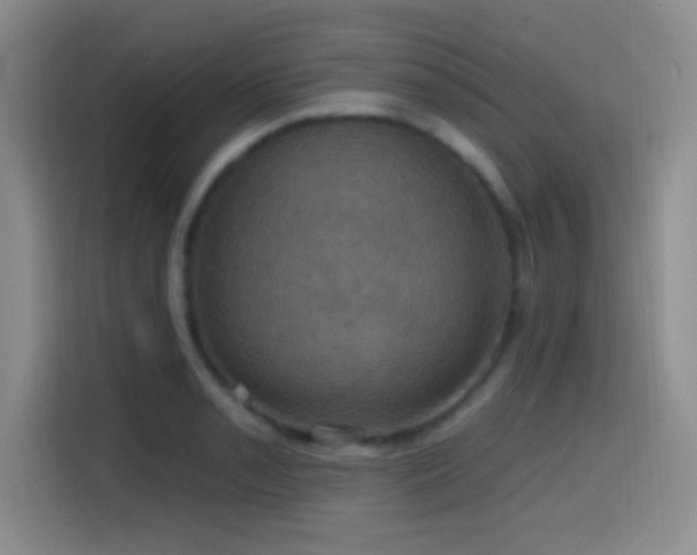 X0000114581085200910191518