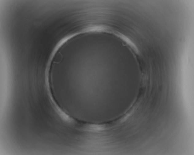 X0000114581086200910191518