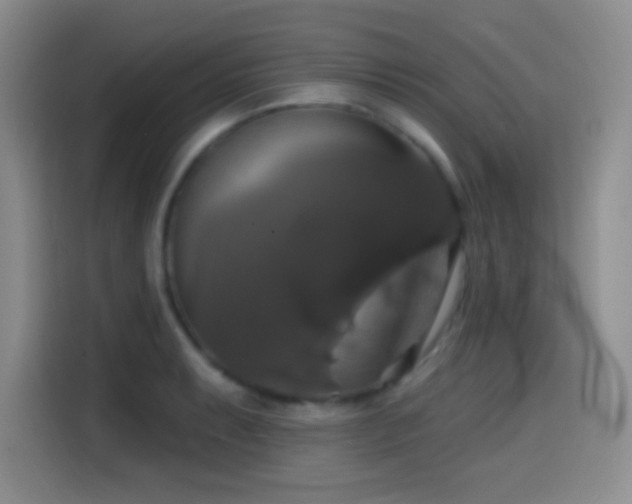 X0000114581087200910191518