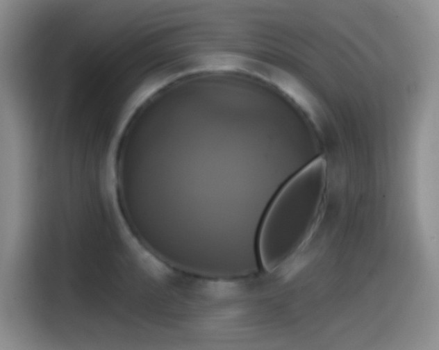 X0000114581088200910191518