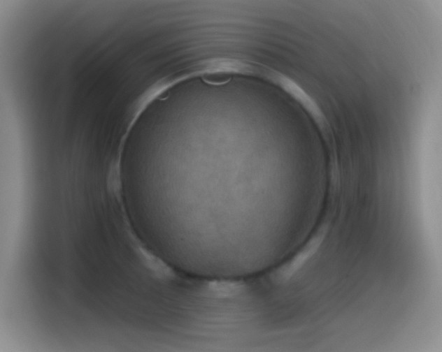 X0000114581089200910191518