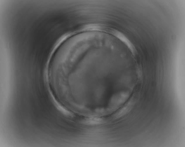 X0000114581090200910191518