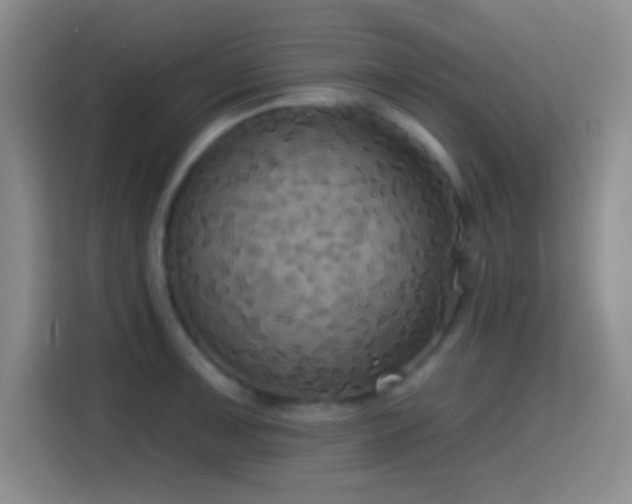 X0000114581091200910191518