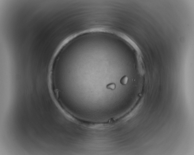 X0000114581093200910191518