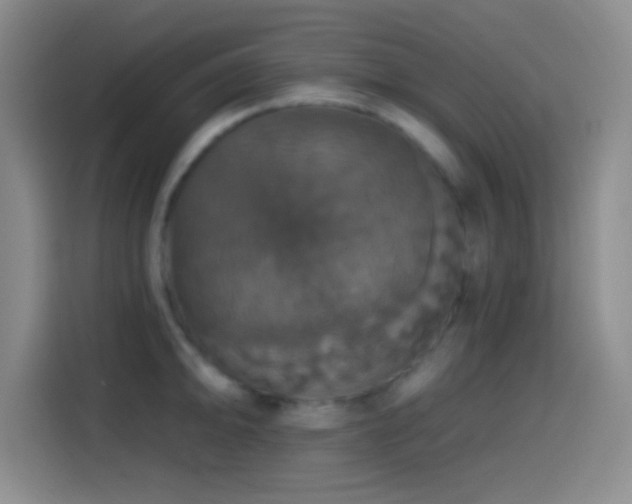 X0000114581094200910191518