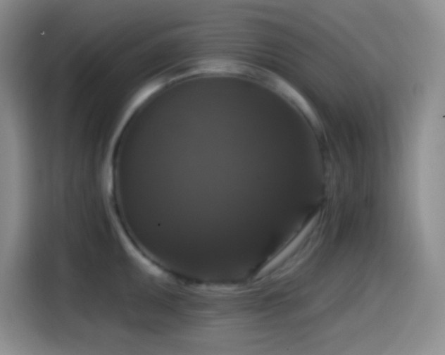 X0000114581095200910191518