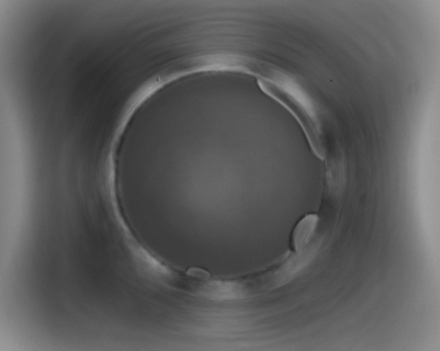 X0000114581096200910191518