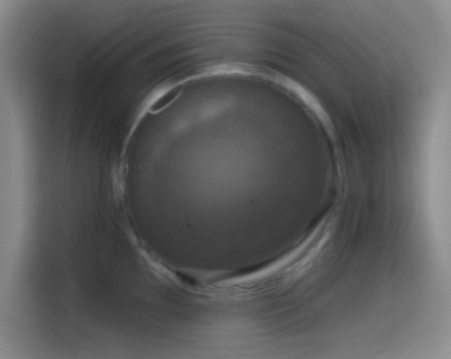 X0000114581097200910191518