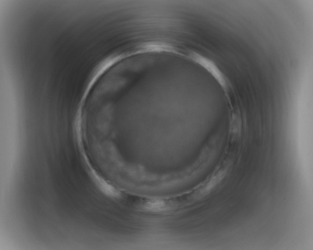 X0000114581098200910191518