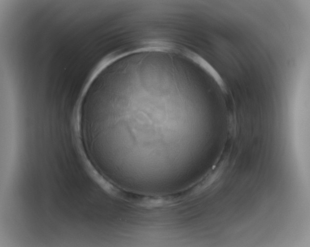 X0000114581099200910191518