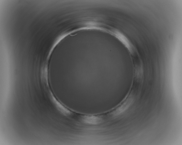 X0000114581100200910191518