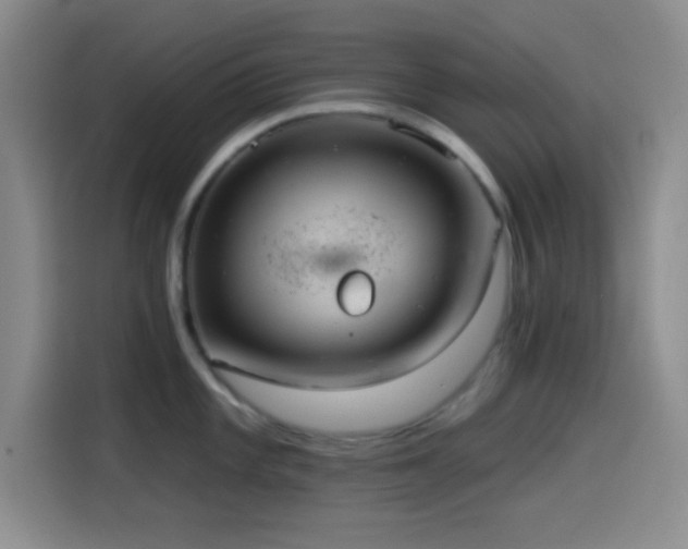 X0000114581101200910191518