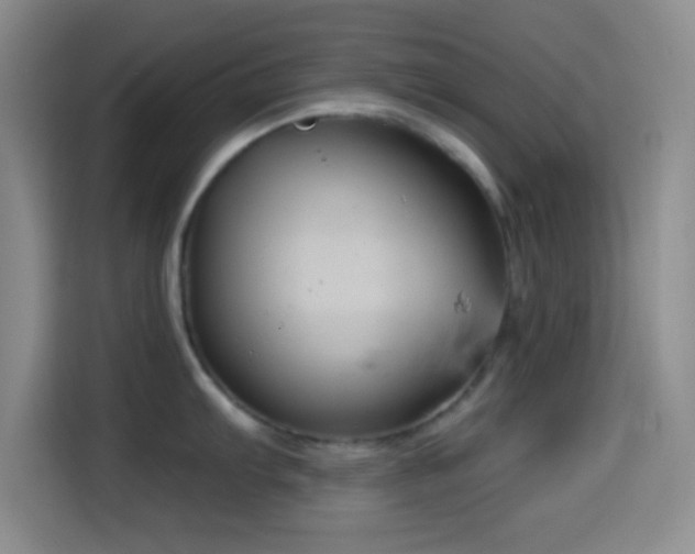 X0000114581103200910191518