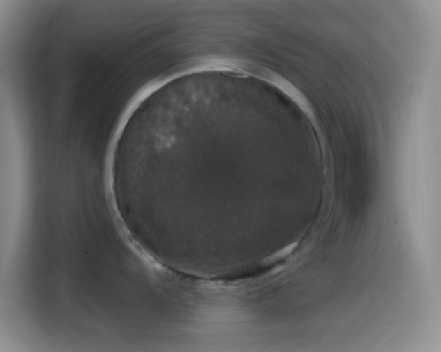 X0000114581104200910191518