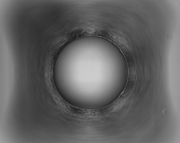 X0000114581105200910191517