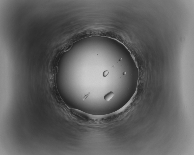 X0000114581109200910191517