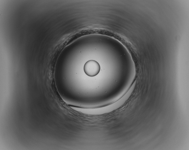 X0000114581110200910191517