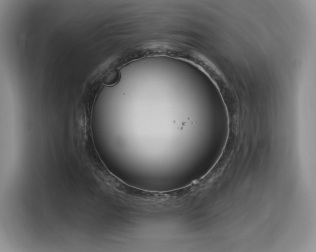 X0000114581111200910191517