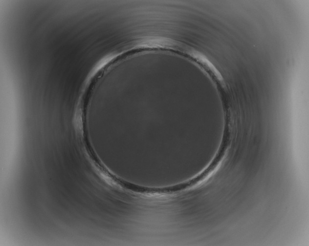 X0000114581114200910191518