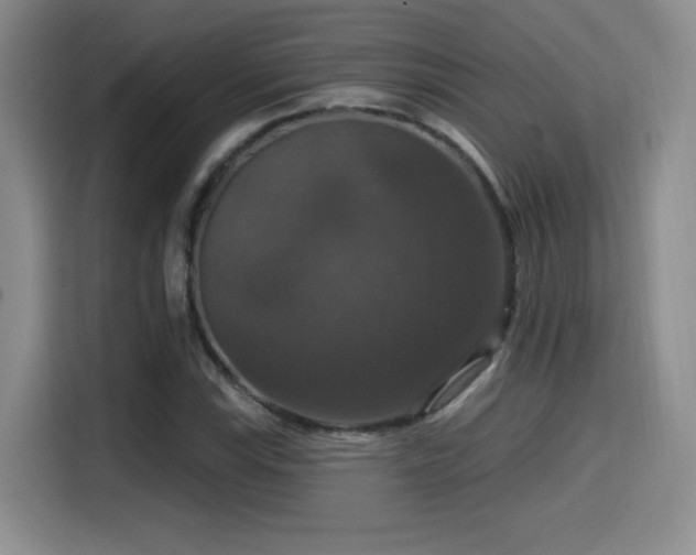 X0000114581115200910191518